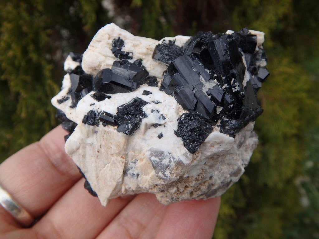 BLACK TOURMALINE On Feldspar Matrix - Earth Family Crystals