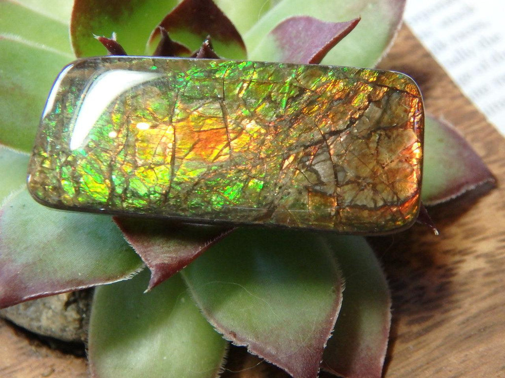 Intense Flash AMMOLITE CABOCHON Perfect For Wire Wrapping - Earth Family Crystals