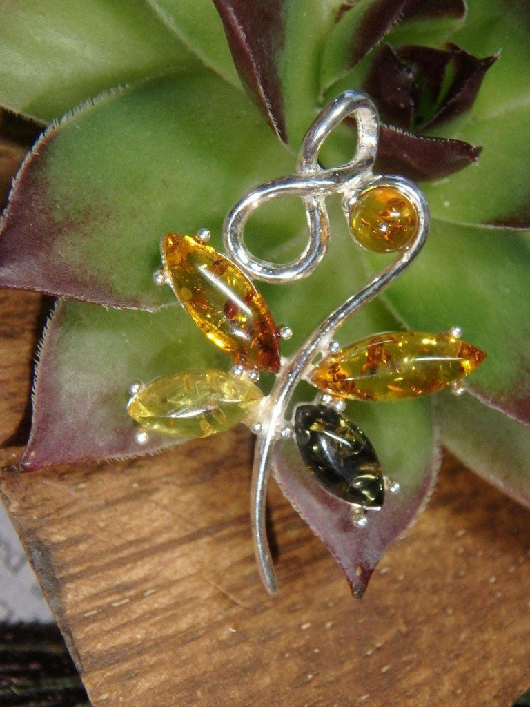 Beautiful BALTIC AMBER DRAGONFLY PENDANT In Sterling Silver (Includes Silver Chain) - Earth Family Crystals