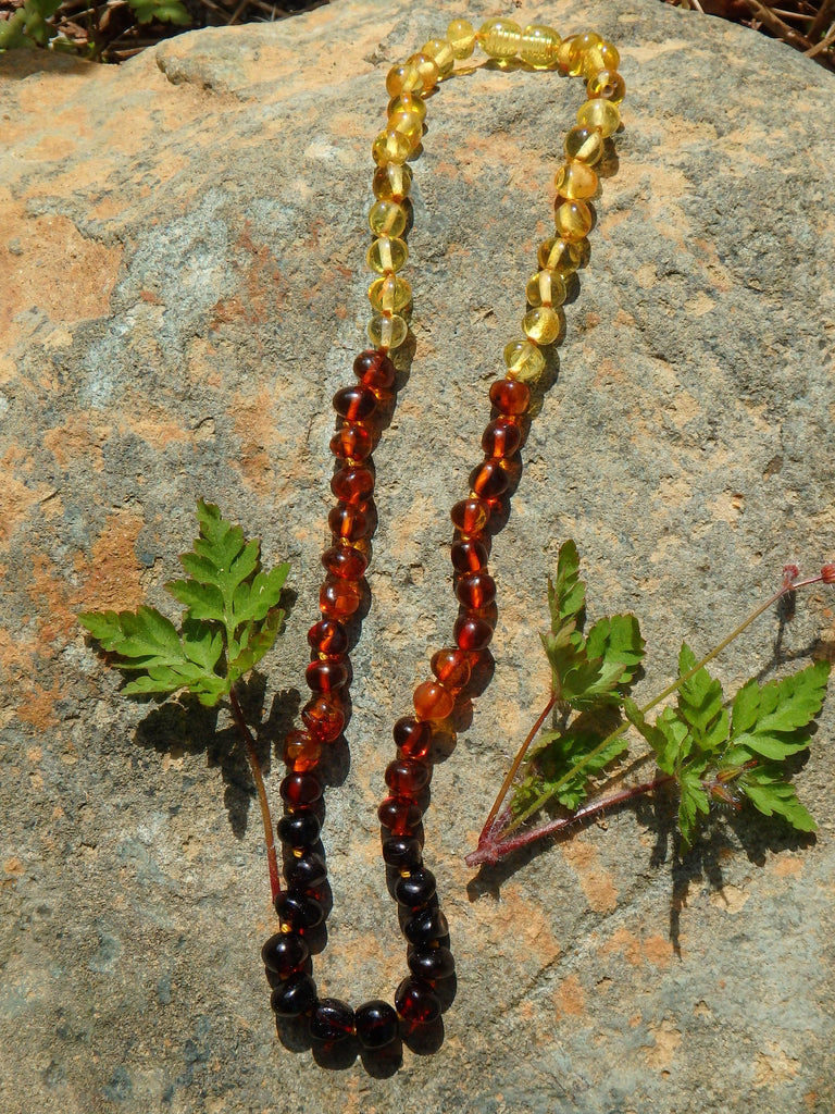 Vibrant Rainbow Beads Lithuanian Baltic Amber Adult Necklace - Earth Family Crystals