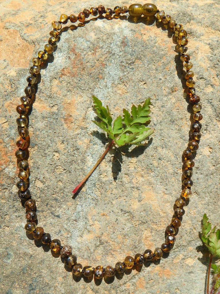 Earthy Green Lithuanian Baltic Amber Adult Necklace - Earth Family Crystals