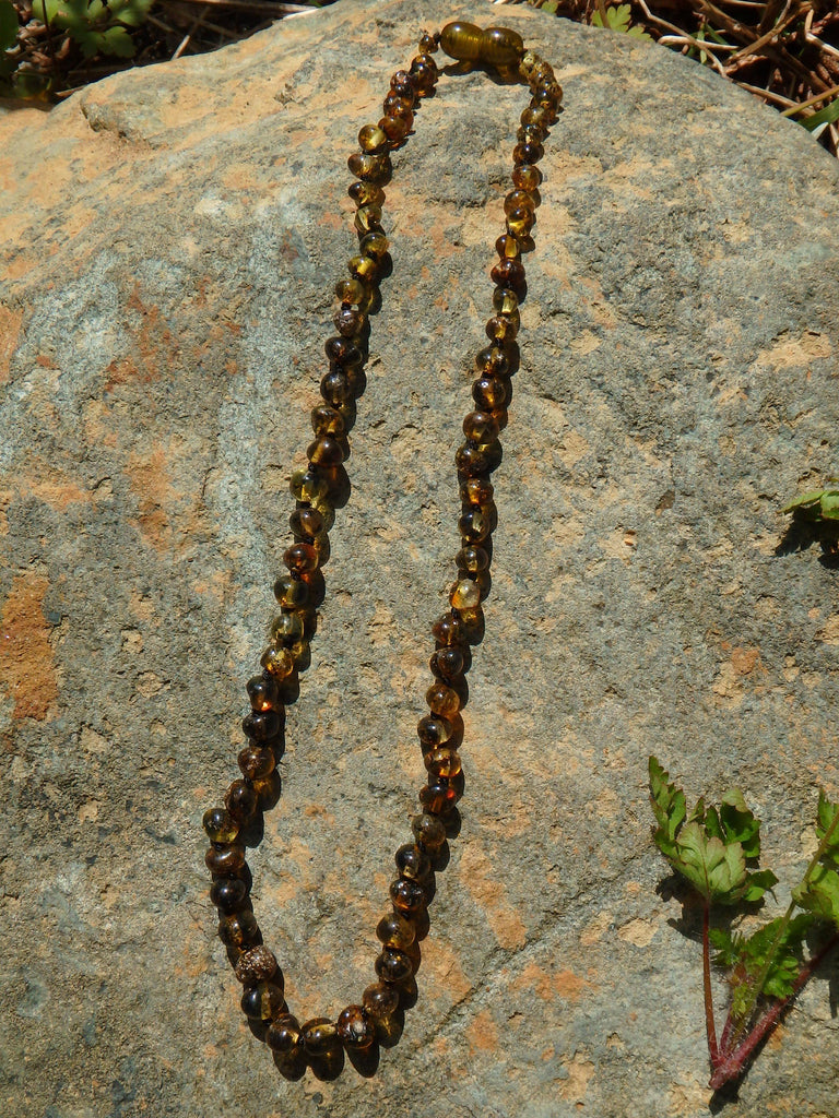 Earthy Green Lithuanian Baltic Amber Adult Necklace - Earth Family Crystals