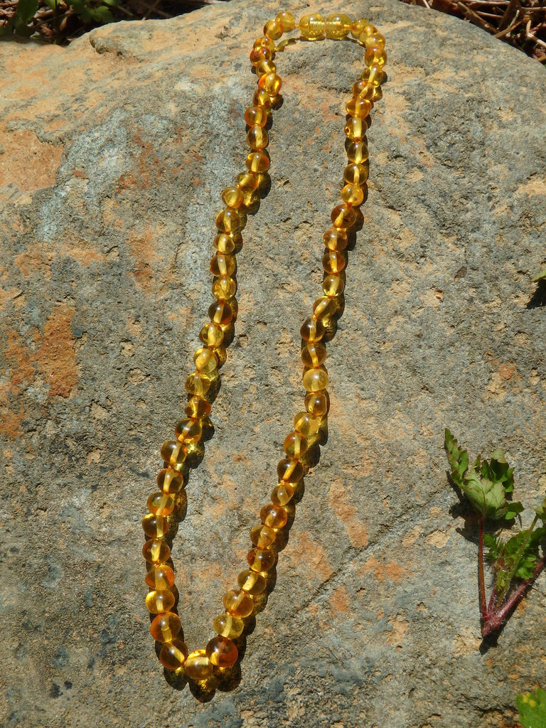 Vibrant Lemon Lithuanian Baltic Amber Adult Necklace - Earth Family Crystals
