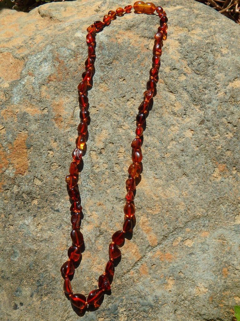 Vibrant Cognac Lithuanian Baltic Amber Adult Necklace - Earth Family Crystals