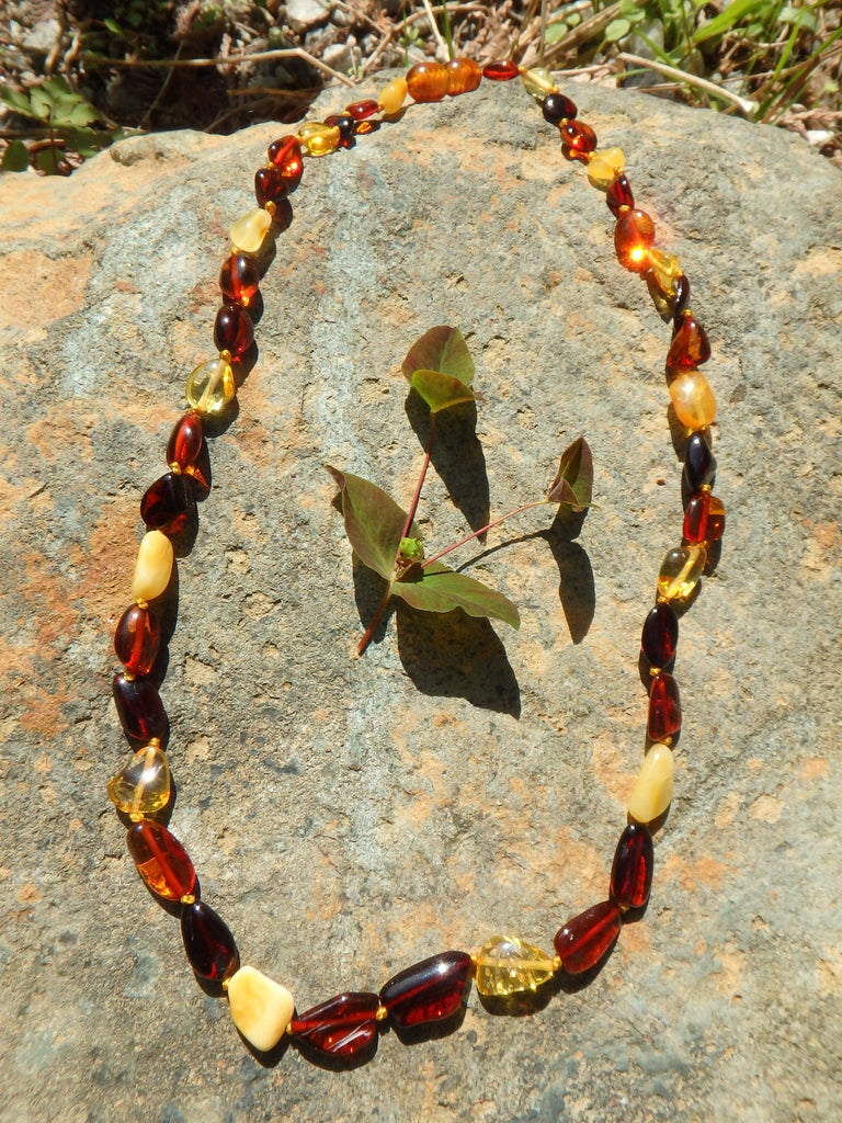 Vibrant Multi Color Lithuanian Baltic Amber Adult Necklace - Earth Family Crystals