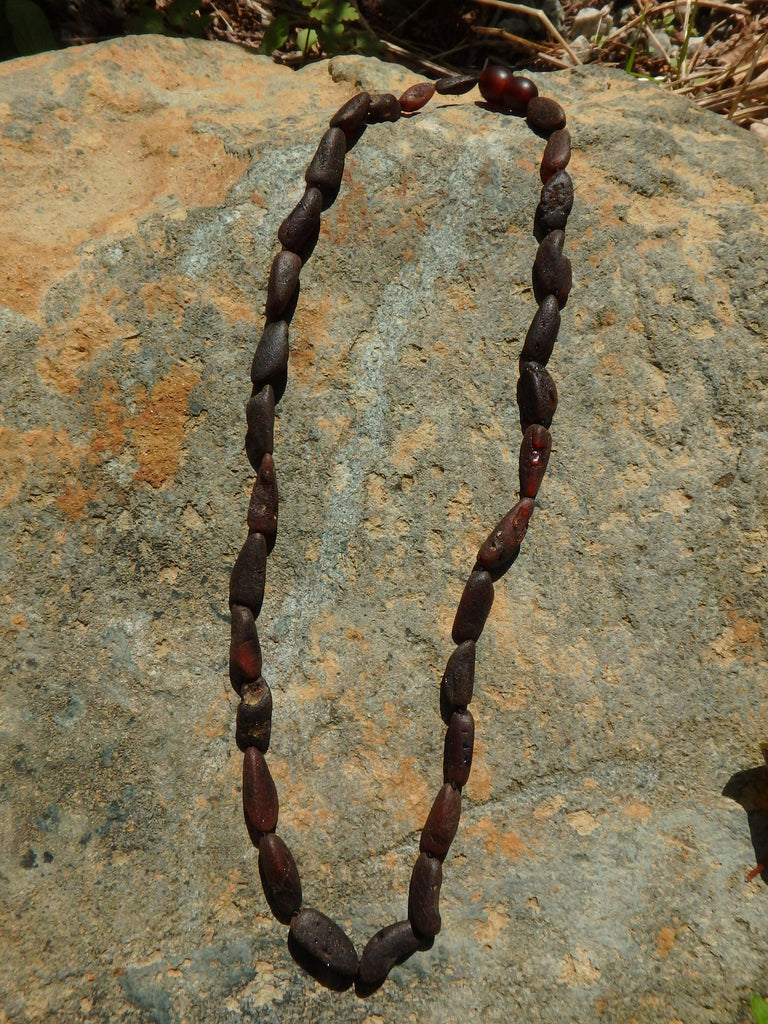 Unpolished Deep Burgundy Lithuanian Baltic Amber Adult Necklace - Earth Family Crystals