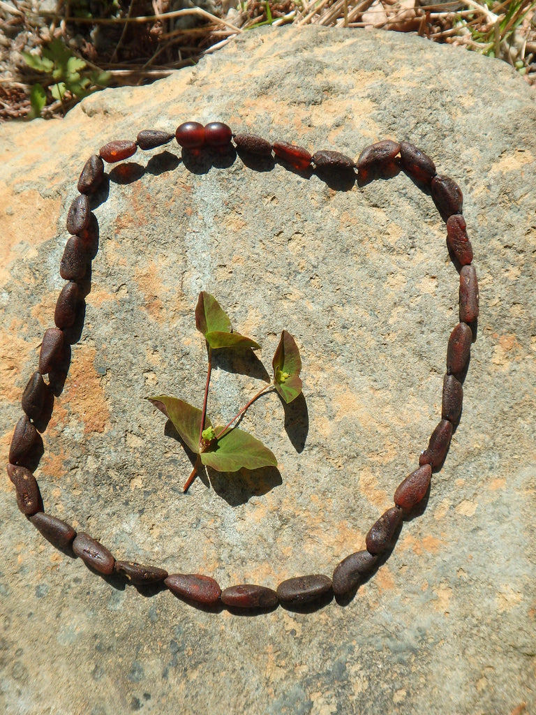 Unpolished Deep Burgundy Lithuanian Baltic Amber Adult Necklace - Earth Family Crystals