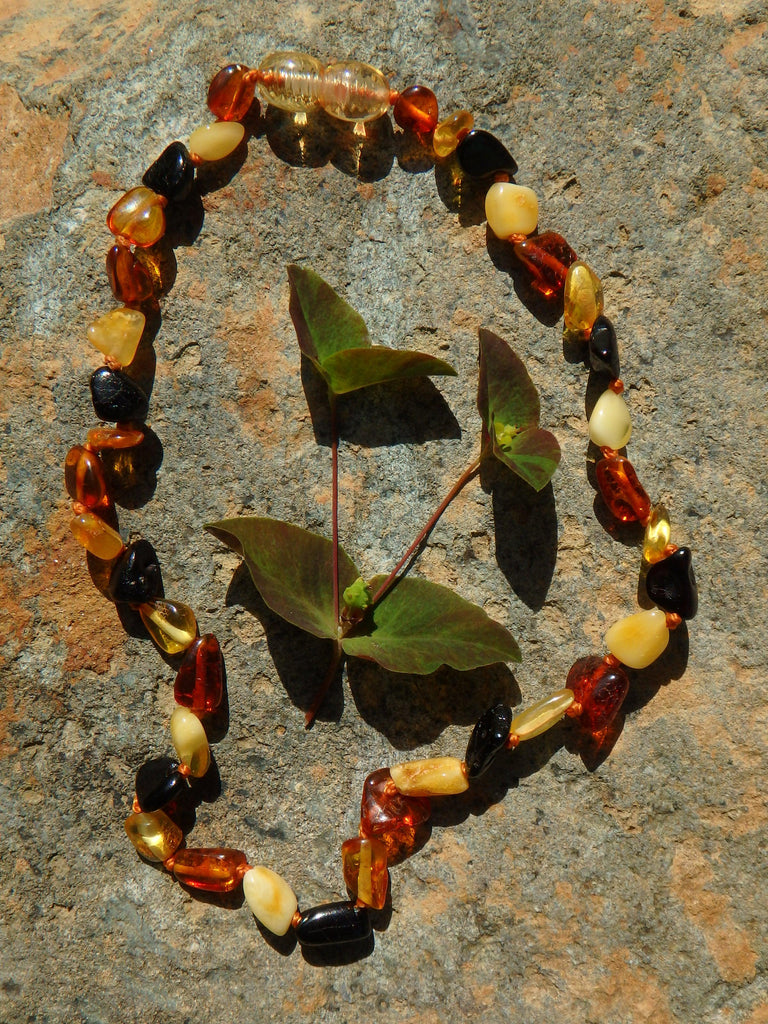 Multi Colored Baby/Child Lithuanian Baltic Amber Necklace - Earth Family Crystals