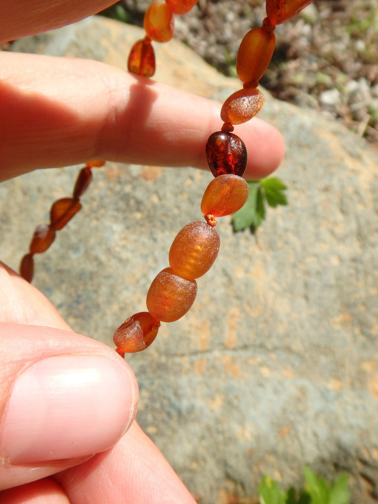Cognac Polished & Unpolished Beads Baby/Child Lithuanian Baltic Amber Necklace - Earth Family Crystals