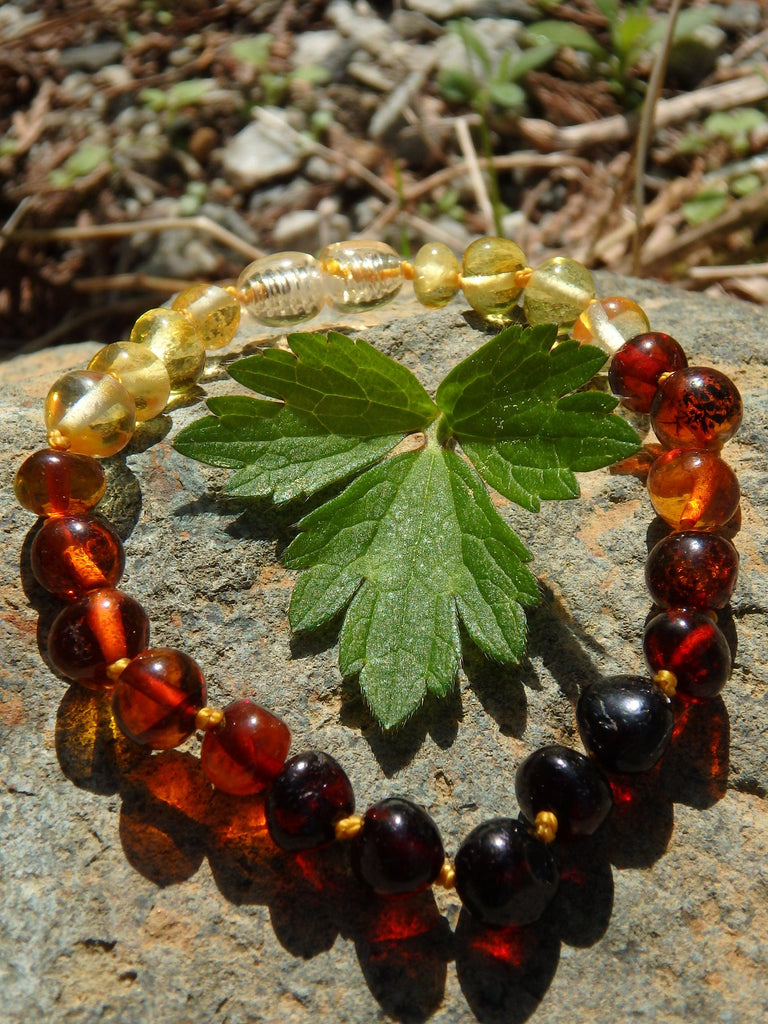 Rainbow Lithuanian Baltic Amber Bracelet on Silk thread with Screw Clasp - Earth Family Crystals