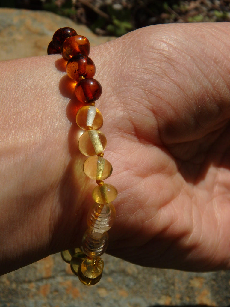 Rainbow Lithuanian Baltic Amber Bracelet on Silk thread with Screw Clasp - Earth Family Crystals