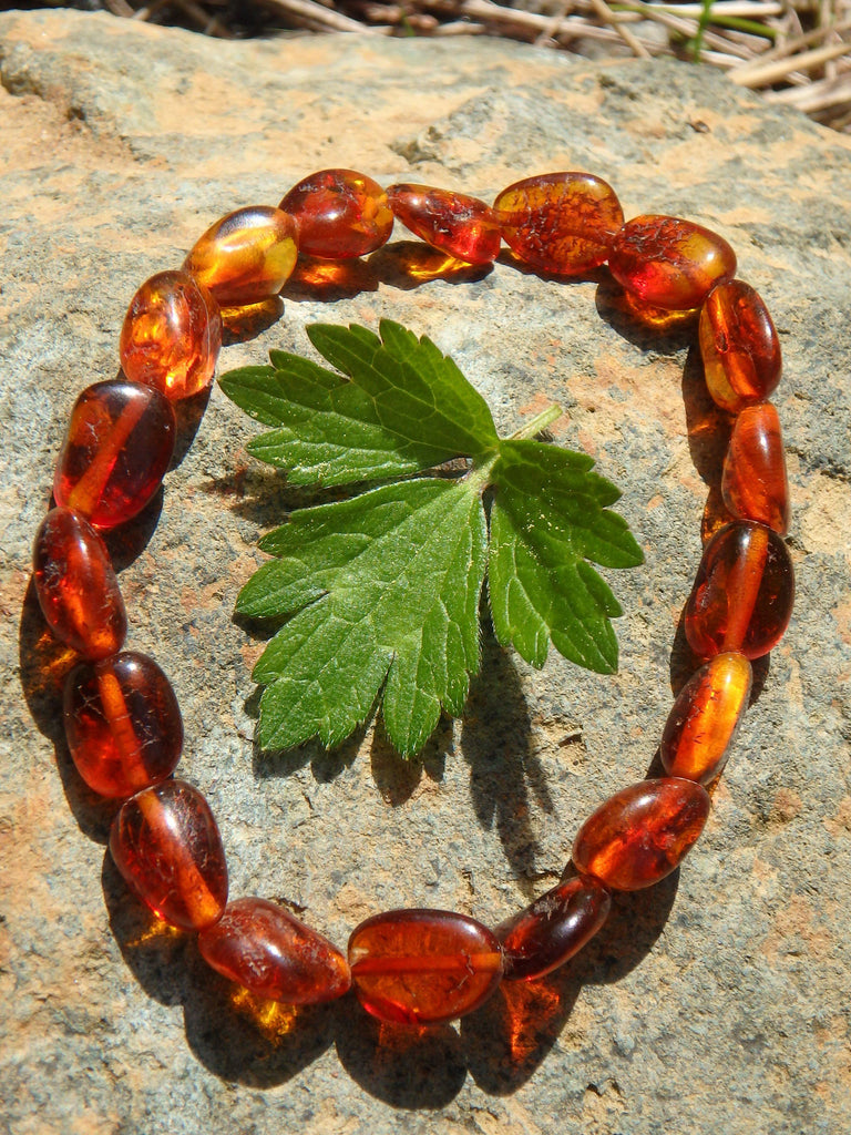 Cognac Lithuanian Baltic Amber Bracelet on Stretchy Elastic - Earth Family Crystals