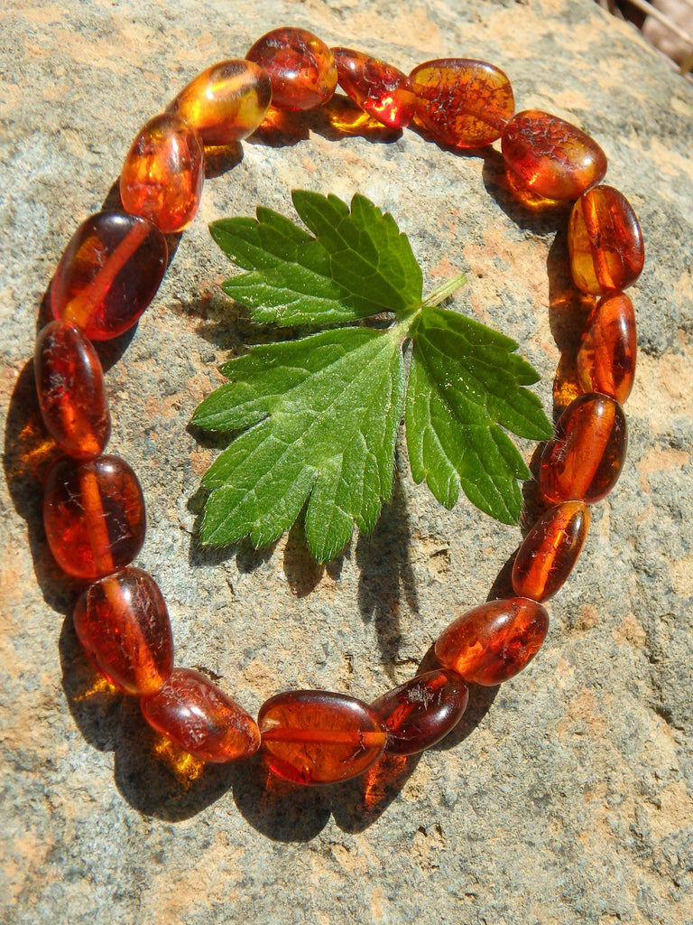 Cognac Lithuanian Baltic Amber Bracelet on Stretchy Elastic - Earth Family Crystals