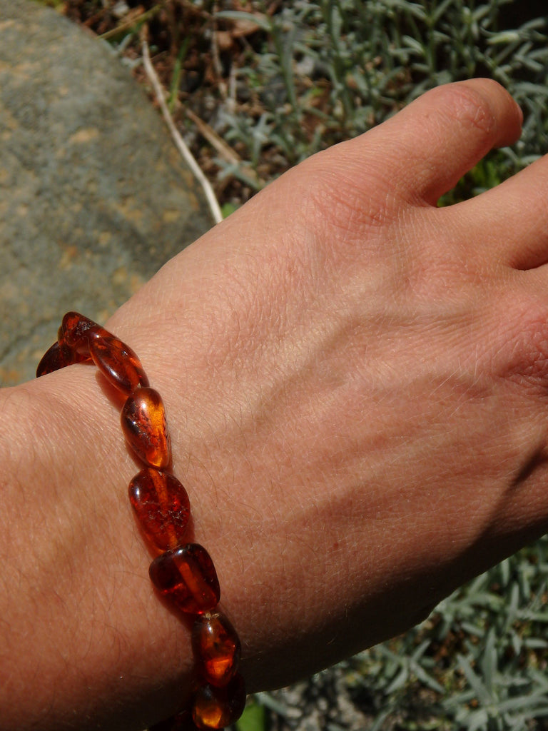 Cognac Lithuanian Baltic Amber Bracelet on Stretchy Elastic - Earth Family Crystals