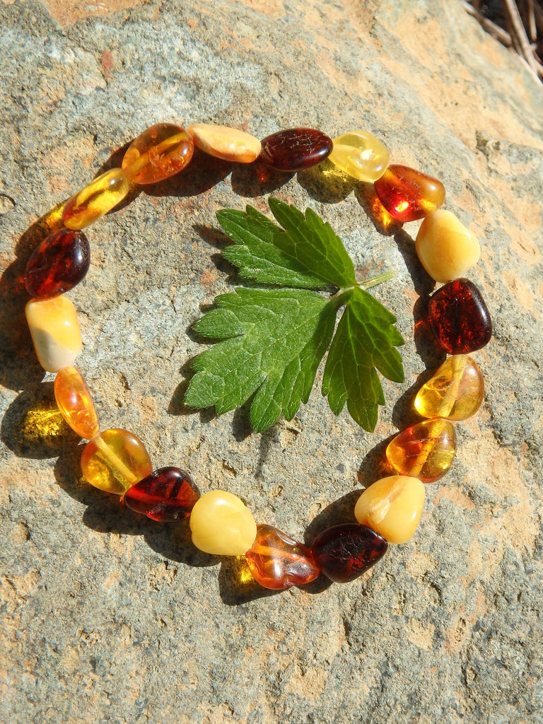 Multi Color Bead Lithuanian Baltic Amber Bracelet on Stretchy Elastic - Earth Family Crystals