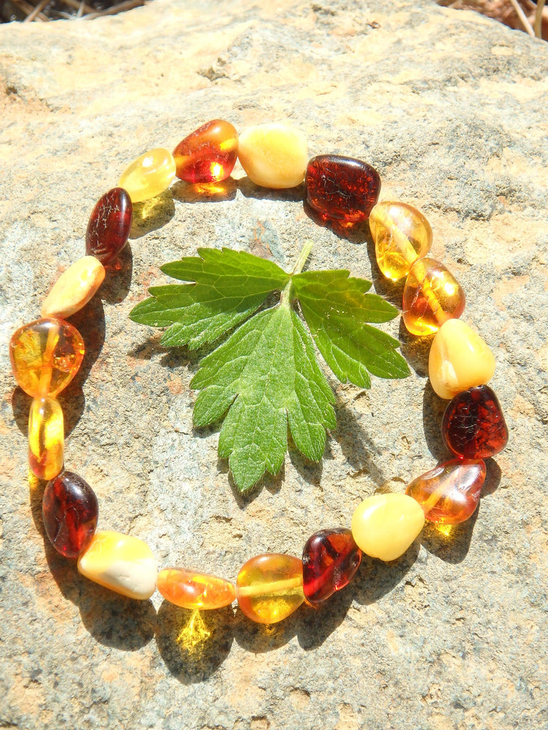 Multi Color Bead Lithuanian Baltic Amber Bracelet on Stretchy Elastic - Earth Family Crystals