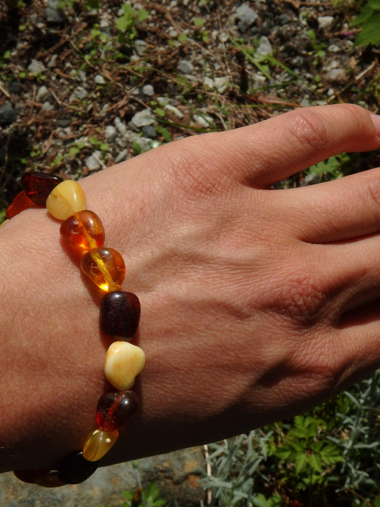 Multi Color Bead Lithuanian Baltic Amber Bracelet on Stretchy Elastic - Earth Family Crystals