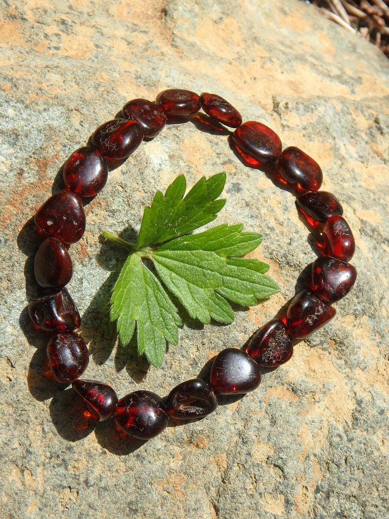 Dark Burgundy Bead Lithuanian Baltic Amber Bracelet on Stretchy Elastic - Earth Family Crystals