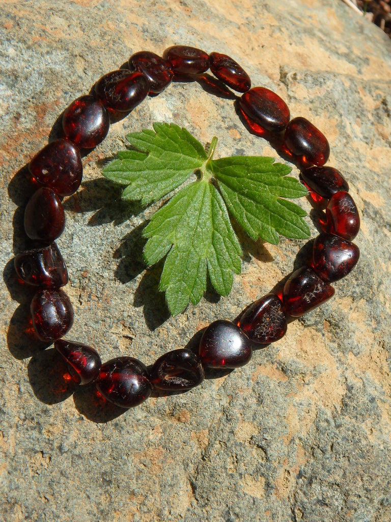 Dark Burgundy Bead Lithuanian Baltic Amber Bracelet on Stretchy Elastic - Earth Family Crystals