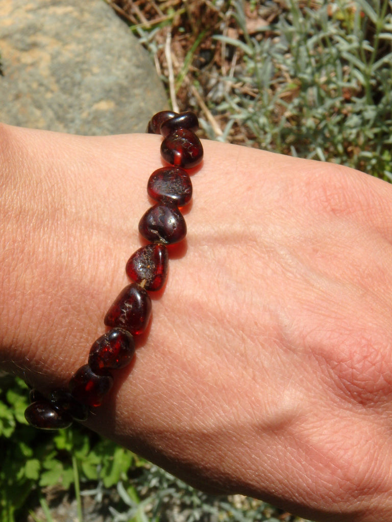 Dark Burgundy Bead Lithuanian Baltic Amber Bracelet on Stretchy Elastic - Earth Family Crystals