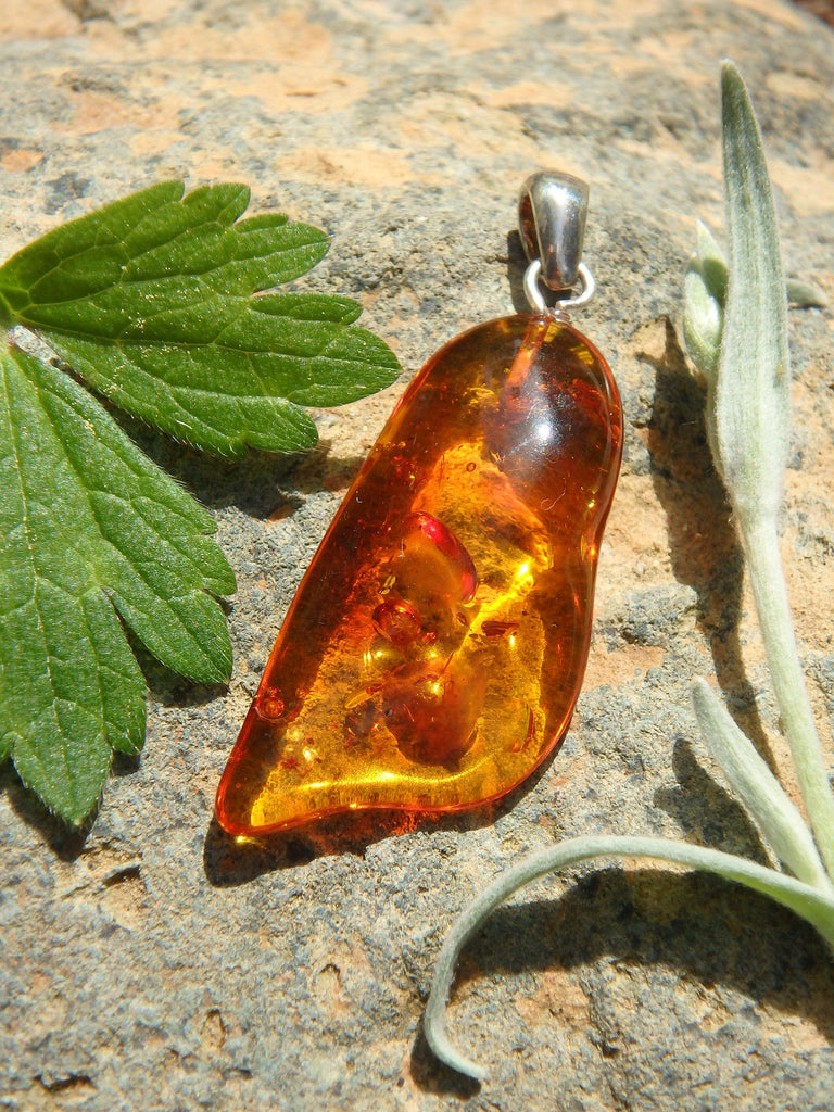 Vibrant Cognac Lithuanian Baltic Amber Pendant in Sterling Silver ( Includes Silver Chain) 1 - Earth Family Crystals