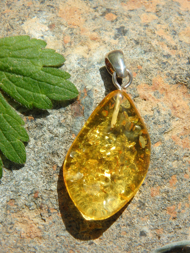 Lemon Lithuanian Baltic Amber Pendant in Sterling Silver ( Includes Silver Chain) - Earth Family Crystals