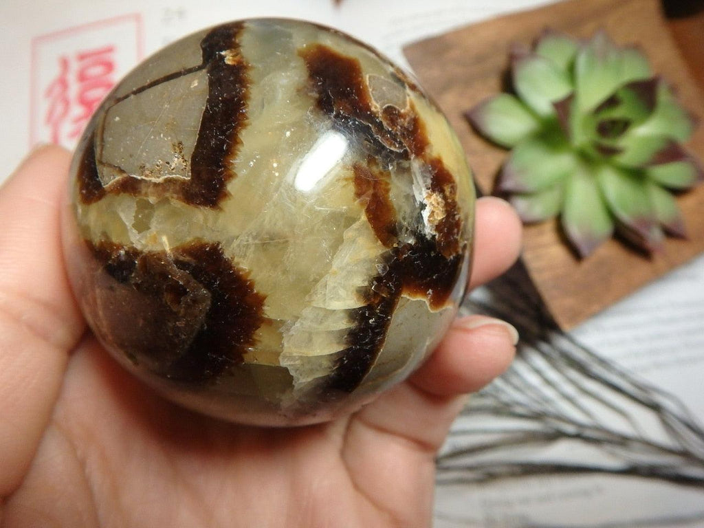 Historic Vibes SEPTARIAN SPHERE - Earth Family Crystals