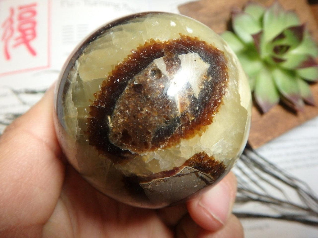 Historic Vibes SEPTARIAN SPHERE - Earth Family Crystals