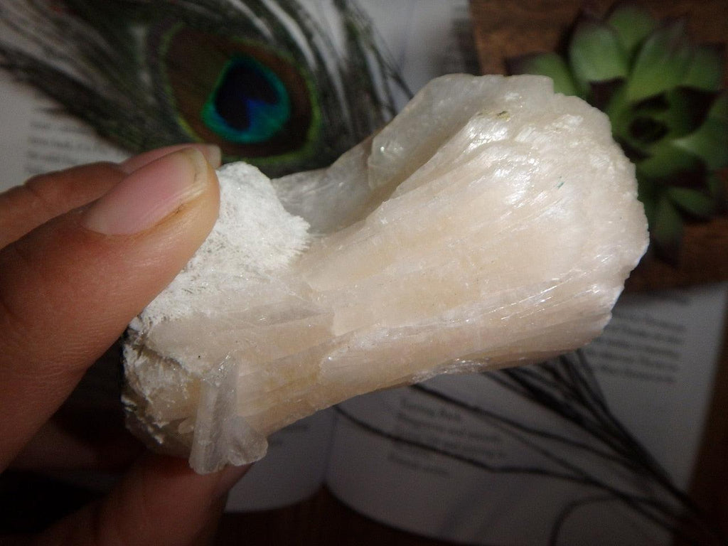 Soft Pink STILBITE SPECIMEN From India - Earth Family Crystals