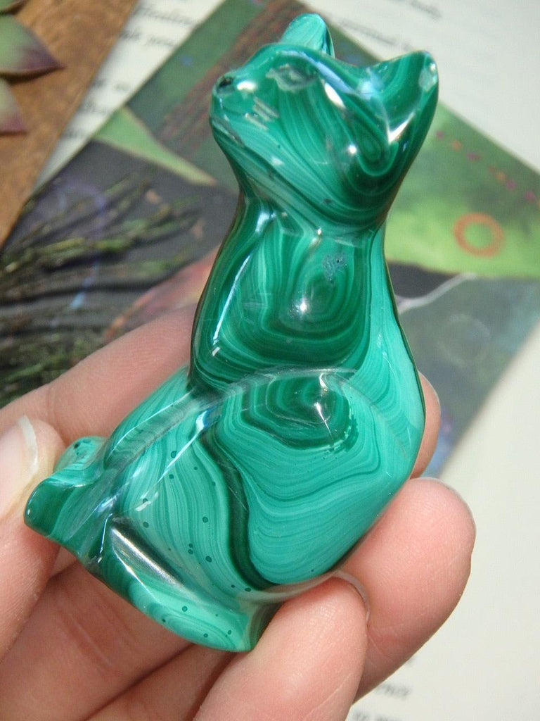 Precious Green MALACHITE CAT CARVING - Earth Family Crystals