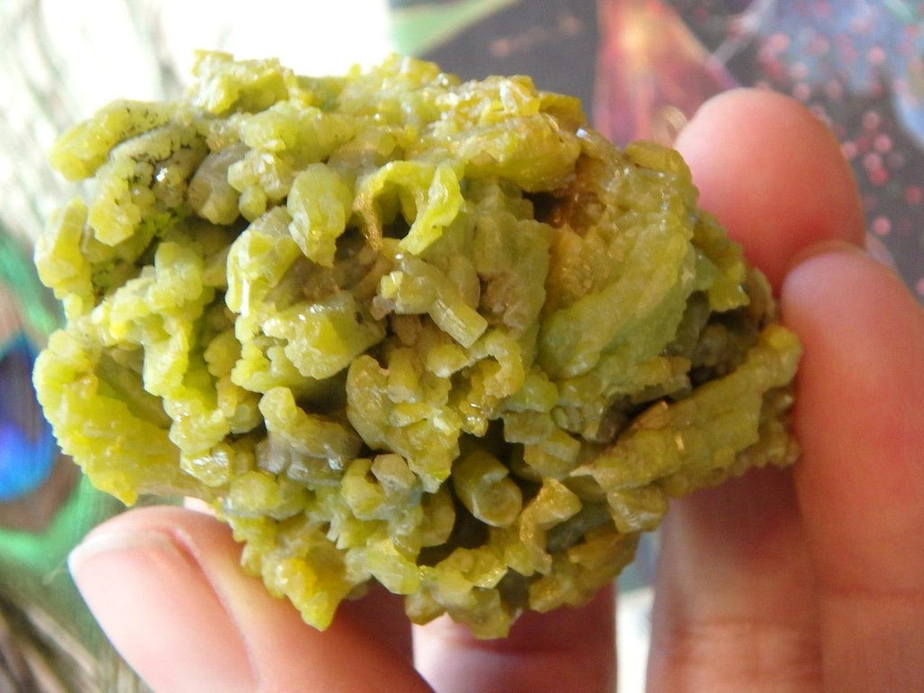 Lime Green Druzy PYROMORPHITE SPECIMEN - Earth Family Crystals