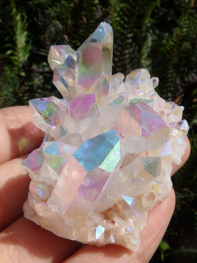 Amazing Opal Shimmer ANGEL AURA QUARTZ CLUSTER - Earth Family Crystals