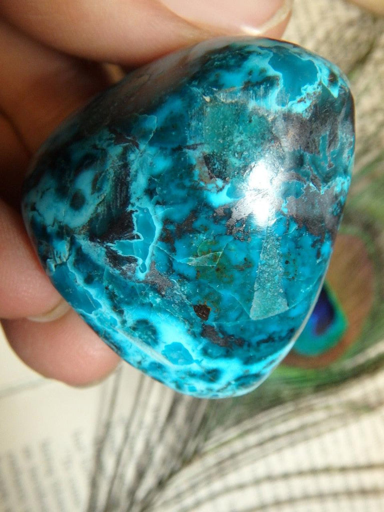 Gorgeous Blue CHRYSOCOLLA PALM STONE - Earth Family Crystals