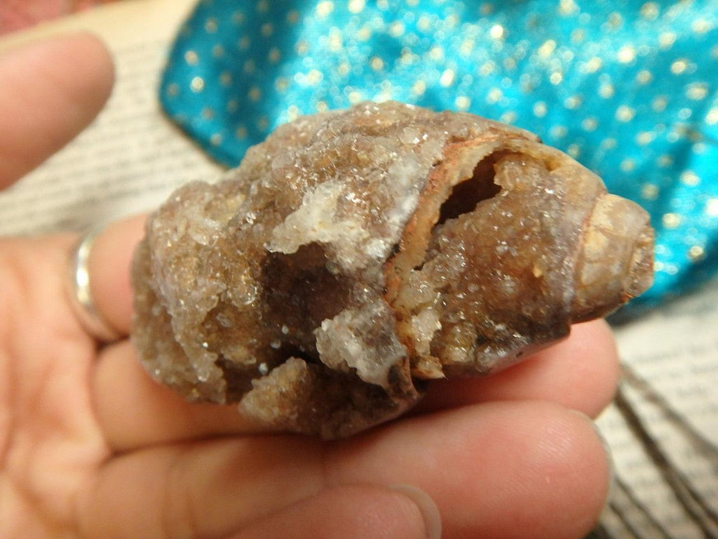 RARE! Breathtaking SPIRALITE GEMSHELL Loaded With Druzy Crusted Caves - Earth Family Crystals