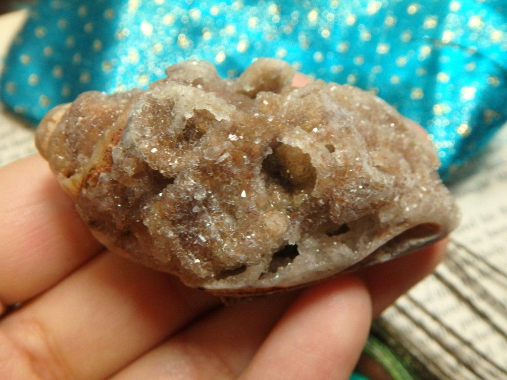 RARE! Breathtaking SPIRALITE GEMSHELL Loaded With Druzy Crusted Caves - Earth Family Crystals