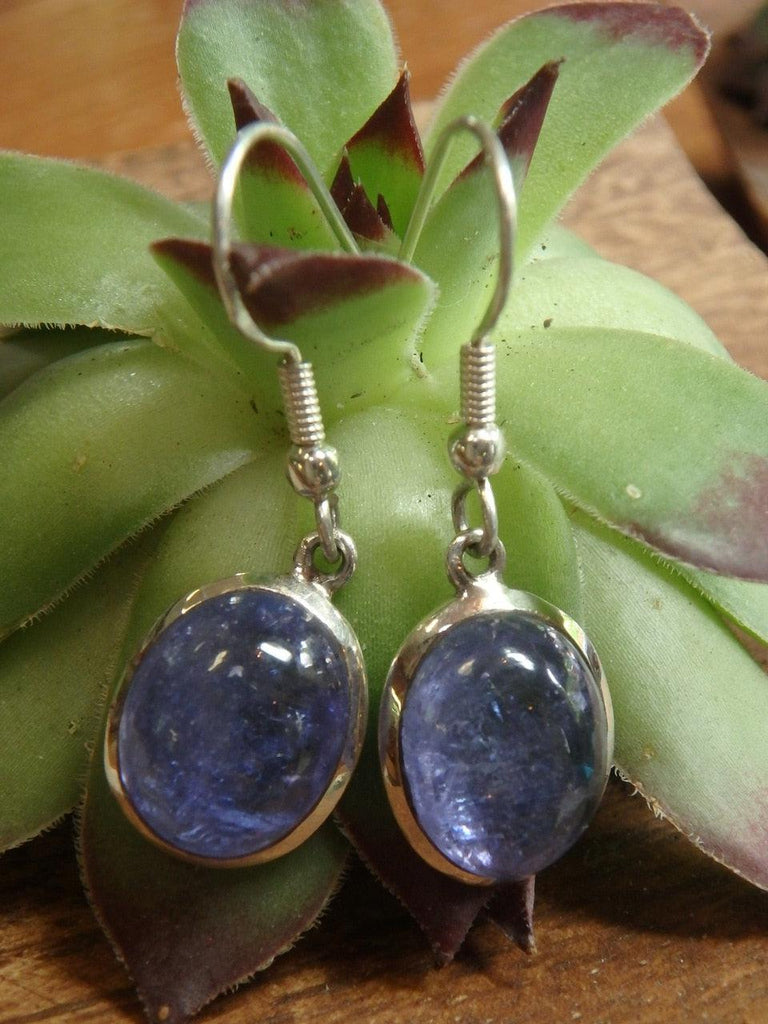 RARE! TANZANITE GEMSTONE EARRINGS IN STERLING SILVER - Earth Family Crystals