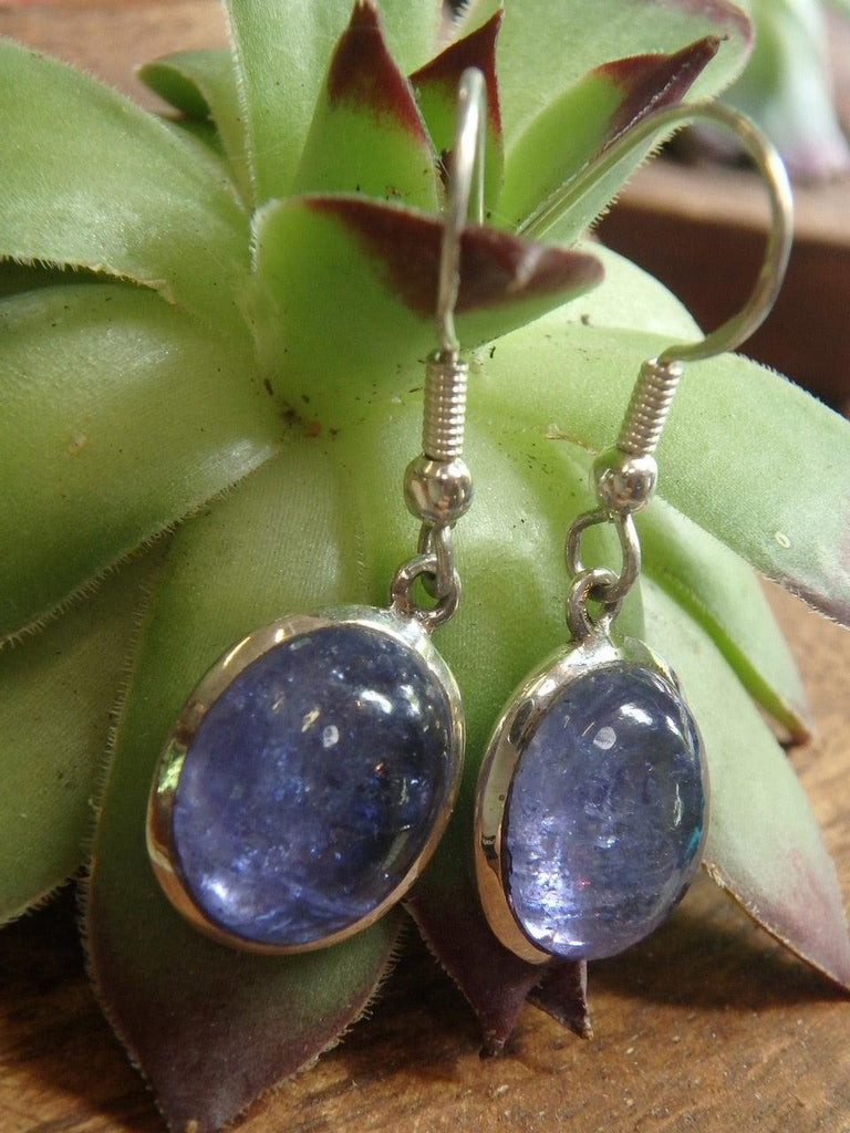 RARE! TANZANITE GEMSTONE EARRINGS IN STERLING SILVER - Earth Family Crystals