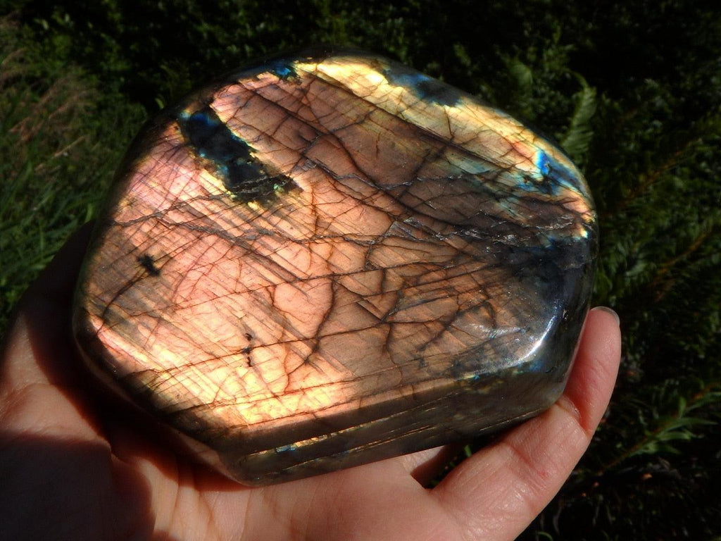 Rare Spectacular Pink Flash Show~ Blue & Pink LABRADORITE SELF STANDING DISPLAY  SPECIMEN - Earth Family Crystals