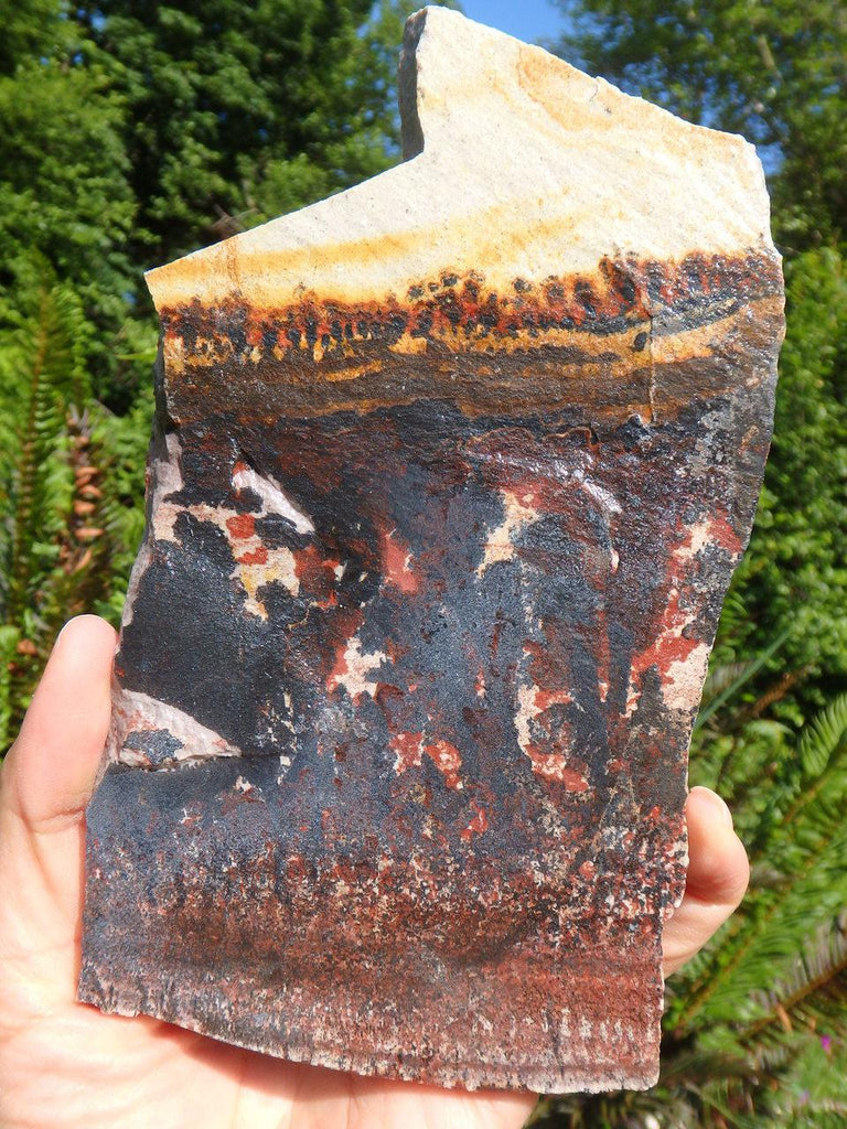 Picturesque Dendrite Display Specimen - Earth Family Crystals