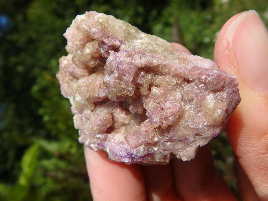 Exotic Purple & Green VESUVIANITE CLUSTER  From Quebec* - Earth Family Crystals