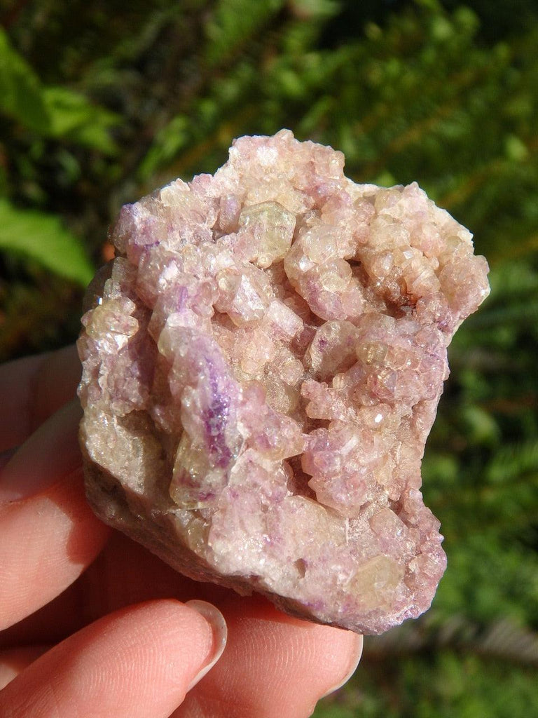Exotic Purple & Green VESUVIANITE CLUSTER  From Quebec* - Earth Family Crystals