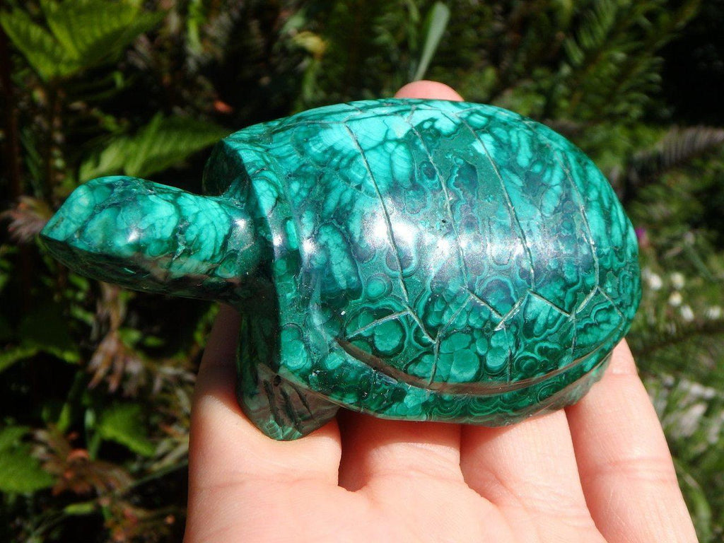 Amazing Large Green MALACHITE TURTLE CARVING - Earth Family Crystals