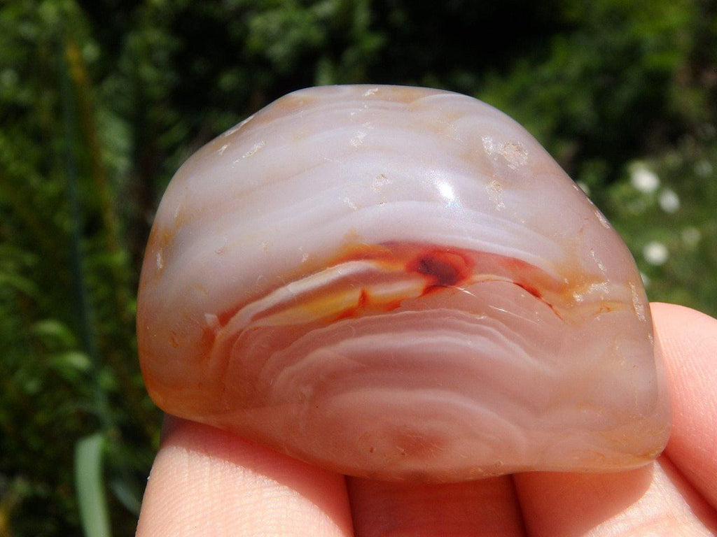 Ancient Natural Water Included AGATE NODULE From Brazil - Earth Family Crystals