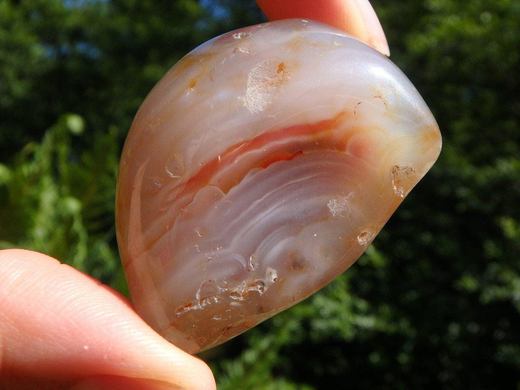Ancient Natural Water Included AGATE NODULE From Brazil - Earth Family Crystals