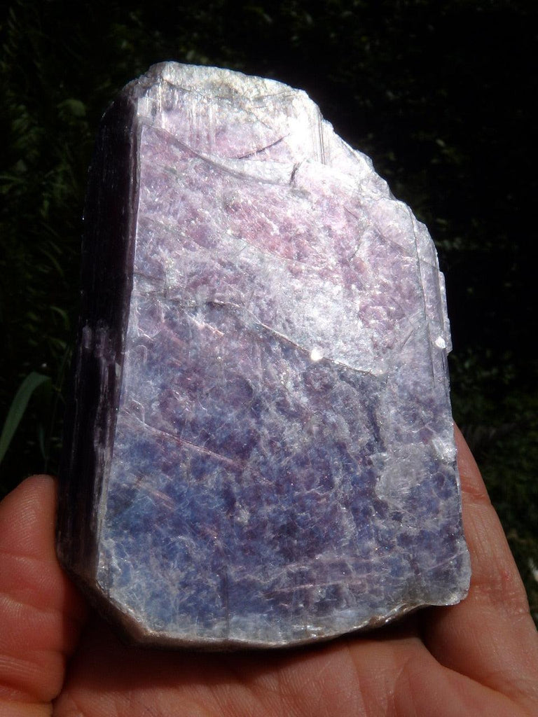 Shiny Handheld LEPIDOLITE SPECIMEN - Earth Family Crystals