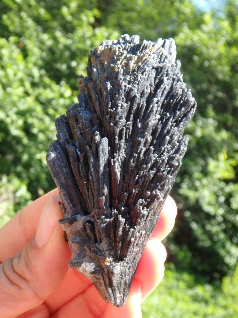 Natural BLACK KYANITE FAN SPECIMEN - Earth Family Crystals