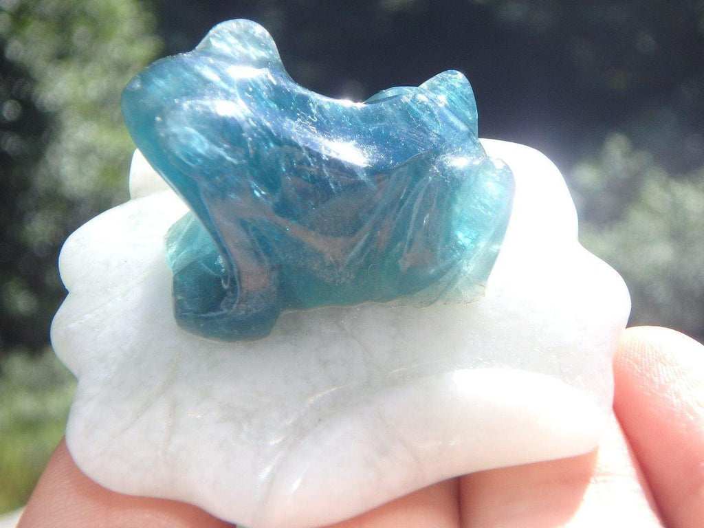 Aqua Blue FLUORITE FROG On Mint Green JADE LILY PAD CARVING - Earth Family Crystals