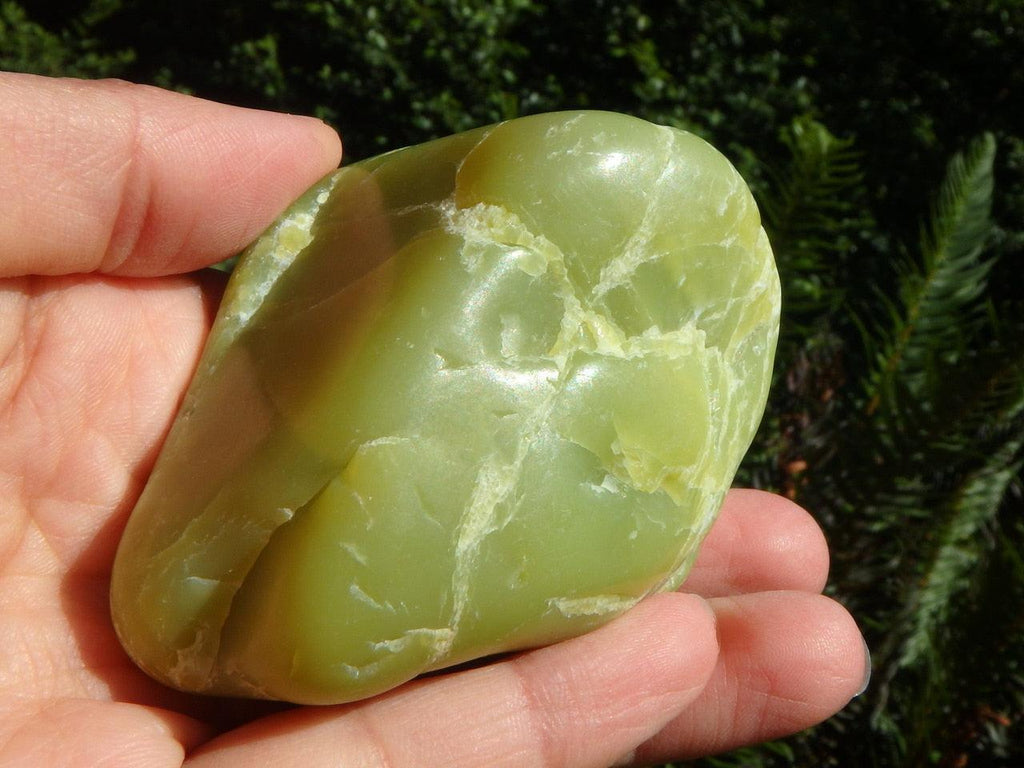 Smooth & Natural Large HEALERITE HANDHELD SPECIMEN* - Earth Family Crystals