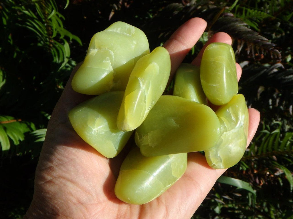 Smooth & Natural LIME GREEN HEALERITE PALM STONES - Earth Family Crystals