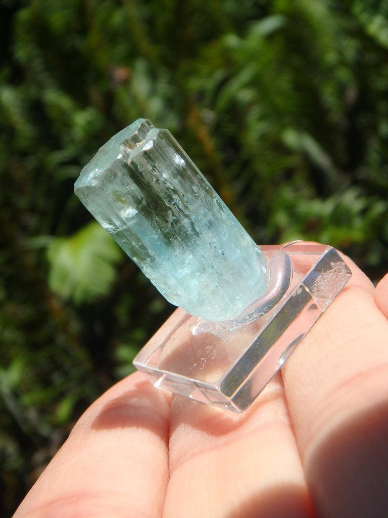 Natural Gemmy Blue Mounted AQUAMARINE SPECIMEN* - Earth Family Crystals